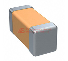 0402-(1005-Metric)-1,00x0,50x0,55mm.jpg Image